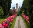 Risultati immagini per PARCO SIGURTÀ